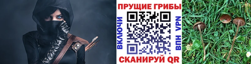 Галлюциногенные грибы Magic Shrooms  Купить  Старый Крым 